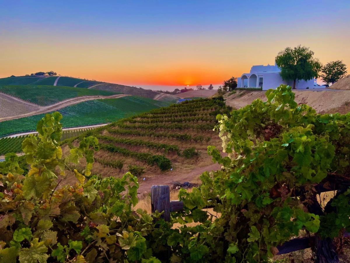 Sirena Vineyard Resort - 3 Bedroom Guest House Paso Robles Zewnętrze zdjęcie